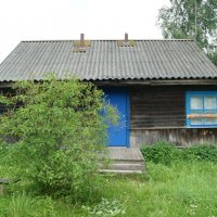 Жилой крепкий дом в деревне Шарапово недалеко от реки Западная Двина 